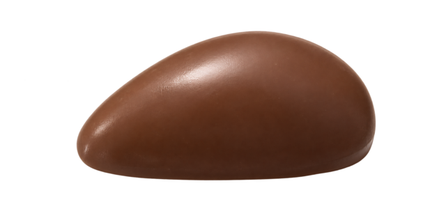 Brazil Nut