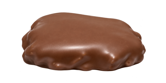 Tortoise